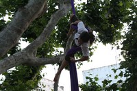 img_0205.jpg